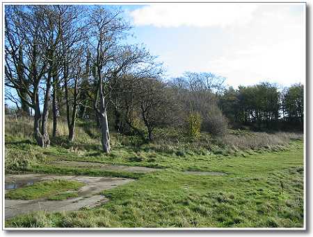 view of Paull picnic area